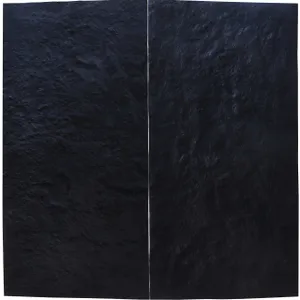 BLACK NOIR