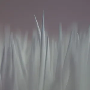 Out Of Focus - IV