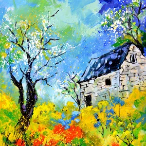 The old house