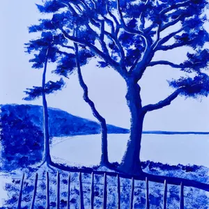 Palombaggia ultramarine