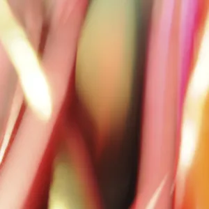 Micro-Rêverie - VII