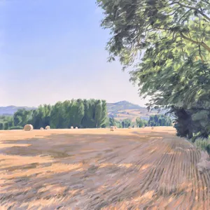 Après la moisson, lumière du matin