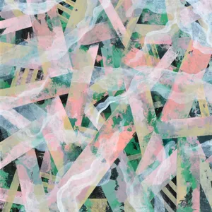 CONJECTURES I.