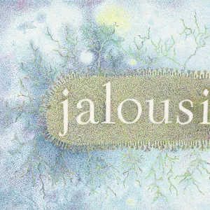 Jalousie - Série Mots d'Amour & Love Hurts.