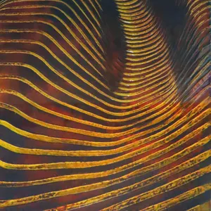 DUNE