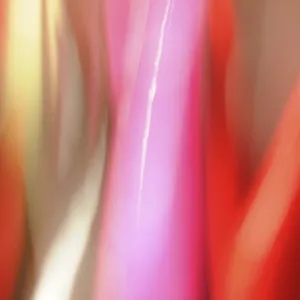 Micro-Rêverie - VI
