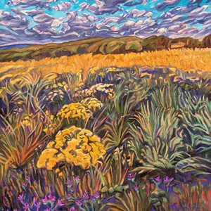 Shrubland Vista