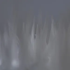Out Of Focus - I
