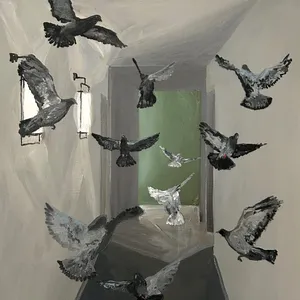 Confinement