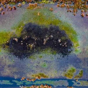 THE_BOG_RENATURED_013