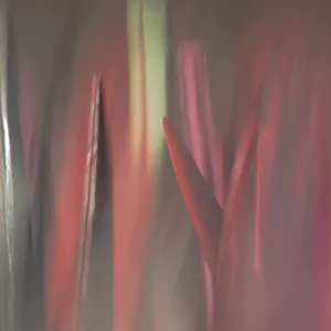 Micro-Rêverie - VIII