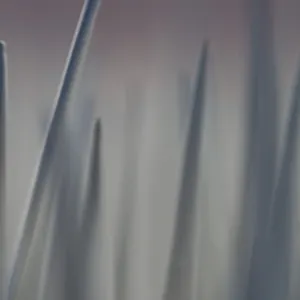 Out Of Focus - III