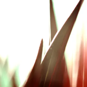 Micro-Rêverie-I