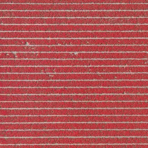 AV_Tulip_Fields_020