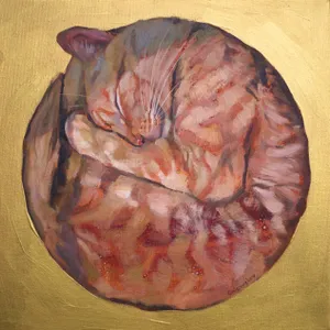 Sleeping Cat