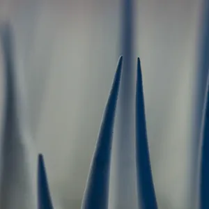 Out Of Focus - V