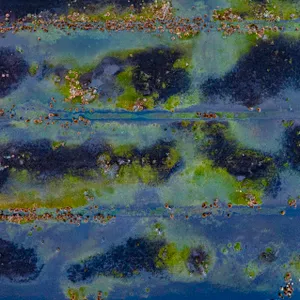 THE_BOG_RENATURED_010