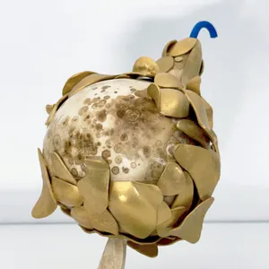 Squash crash - N°7