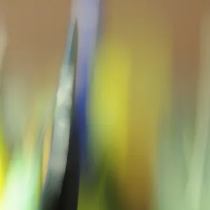 Micro-Rêverie - IV