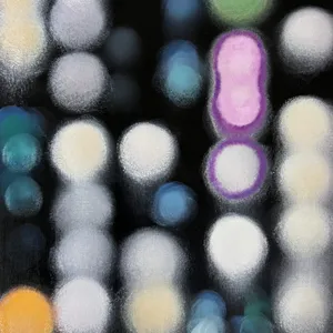 Dot