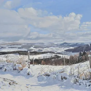 Chemin dans la neige, Saint Julien du Pinet