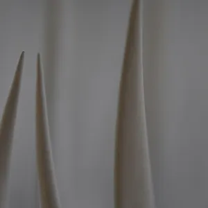 Out Of Focus - VIII