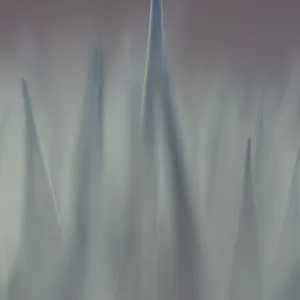 Out Of Focus - II