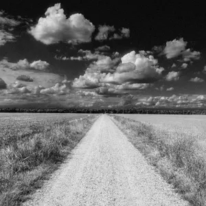 Cloud Over the Fields (I)
