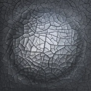 CONVEXIAL I