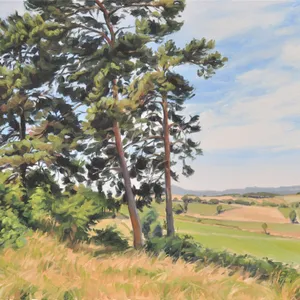 Ving-quatre juin, lumière d'été sur les monts du Velay