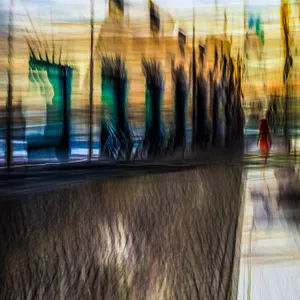 Passing Through Light _ tarudi (V)