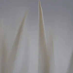 Out Of Focus - XII