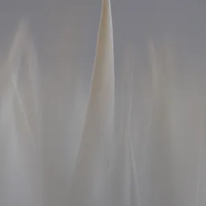 Out Of Focus - VII
