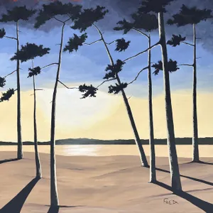 Pines at dusk
