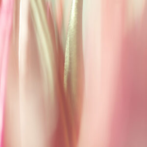 Micro-Rêverie - XII