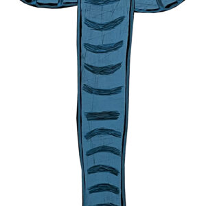 THERE IS A BLUE ELEPHANT IN THE ROOM