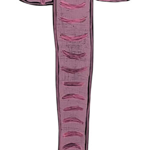 THERE IS A PINK ELEPHANT IN THE ROOM