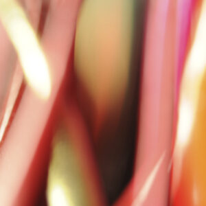 Micro-Rêverie - VII