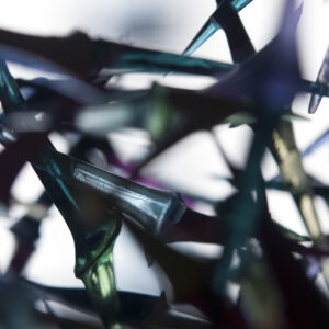 The Flow Of Seven Days - II