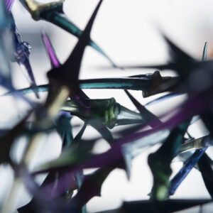 The Flow Of Seven Days - VI