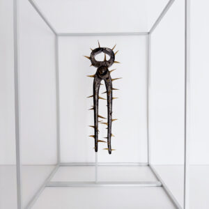 La Tenaille Aux Epines d'Or - Hors d'Usage