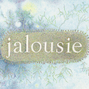 Jalousie - Série Mots d'Amour & Love Hurts.