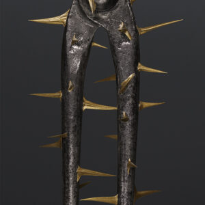 Tenaille Aux Epines d'Or - Stèle photographique.