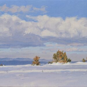 Pins au sommet du Mont Mézenc enneigé