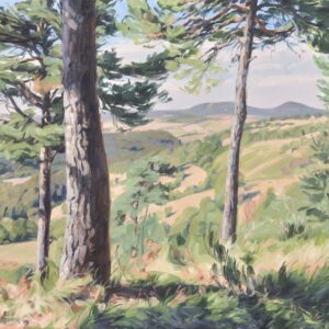 Mézenc, fin d'été