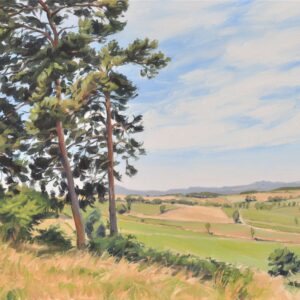 Ving-quatre juin, lumière d'été sur les monts du Velay