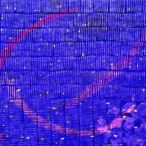 Mensajes codificados