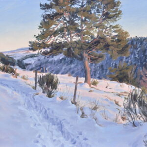 Crépuscule sur le Mézenc